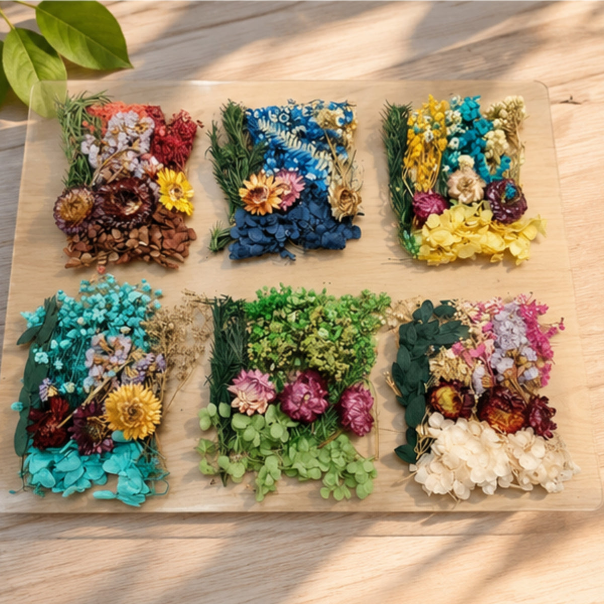 Dried Flowers for Resin