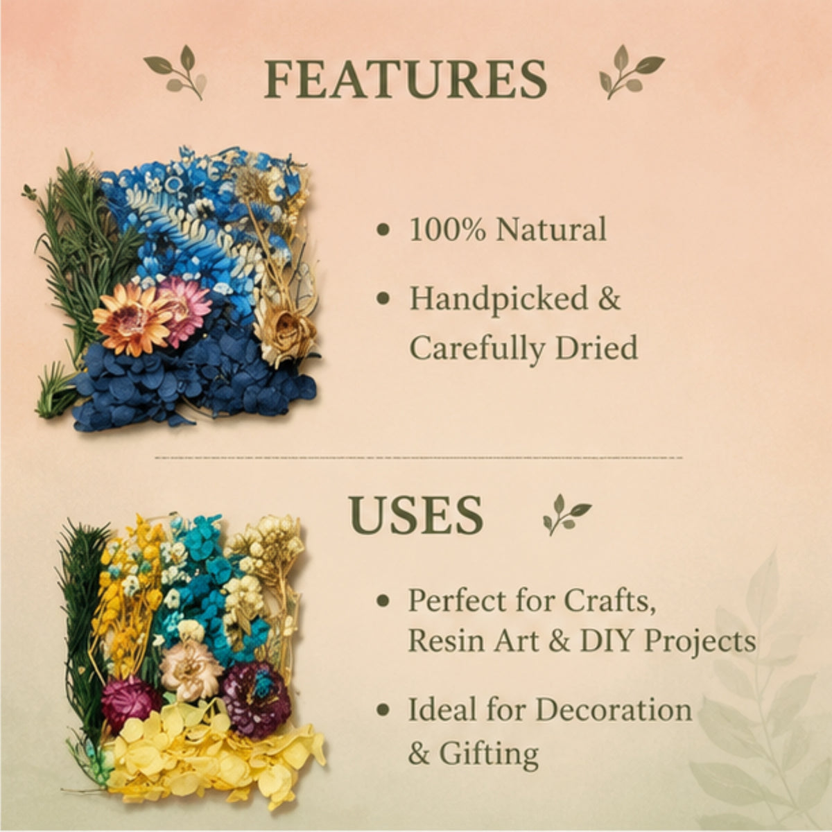 Dried Flowers for Resin