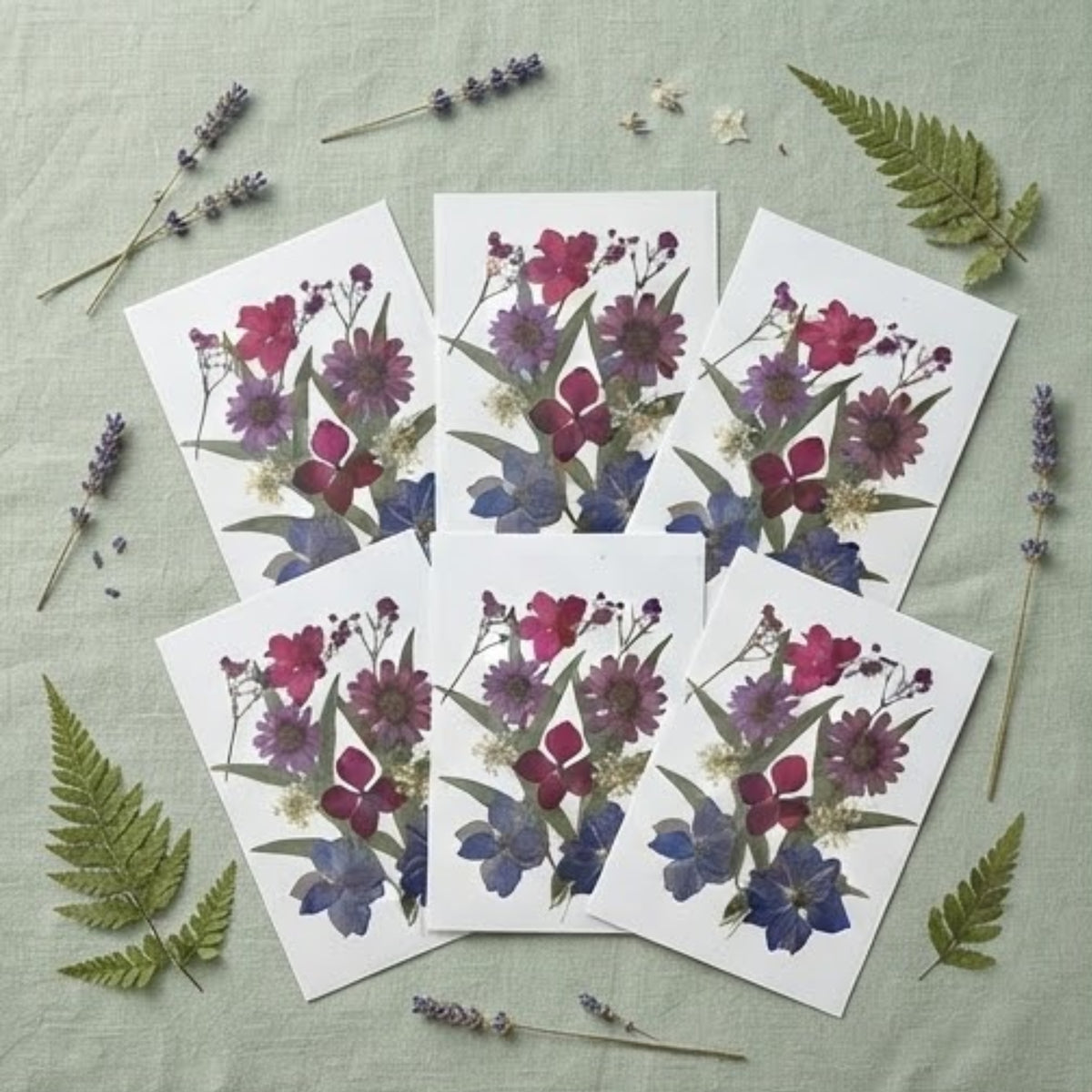 Pressed Flower Art Card Set
