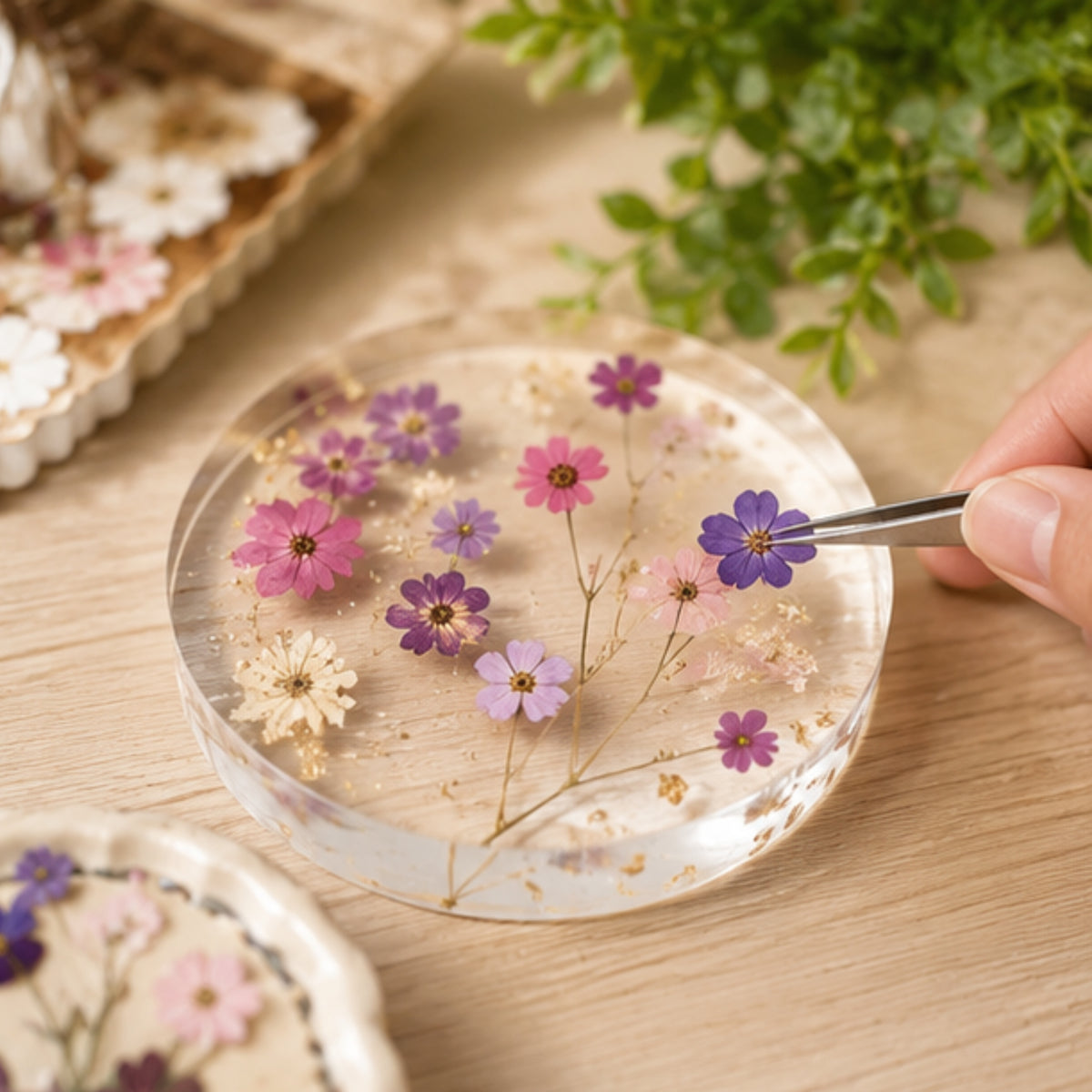 Pressed Flower Art Card Set