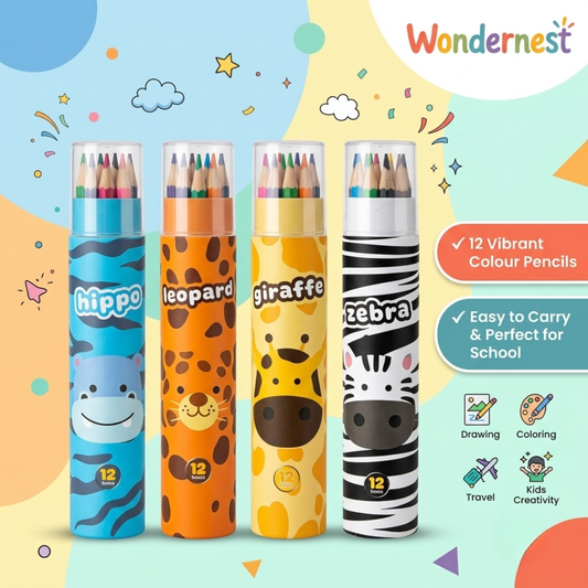 Rainbow Pencil Set - 12 Colours