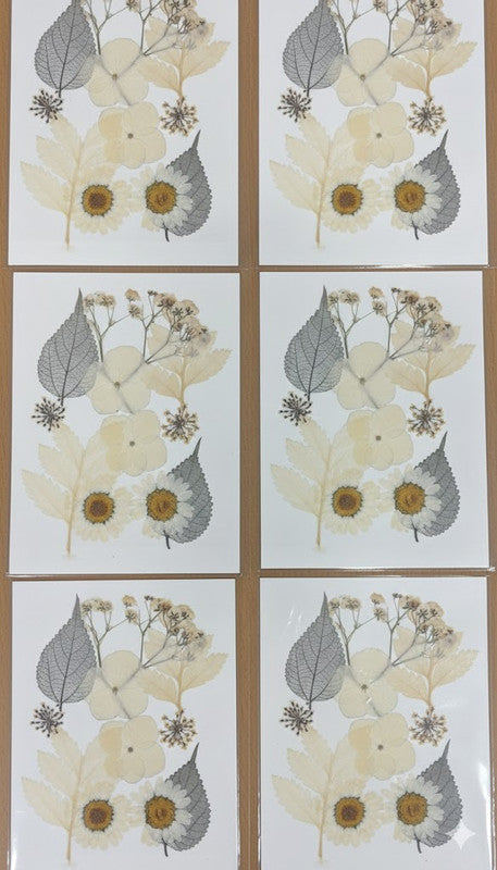 Pressed Flower Card - Daisy & Skeleton Leaf